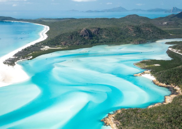 ハミルトン.jpg